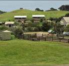 Ace Hi Riding Ranch - Yarra Valley Accommodation