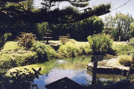 Bayside Gardens - Yarra Valley Accommodation