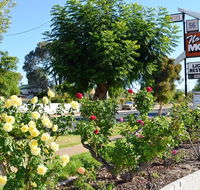 Narrogin Motel - Yarra Valley Accommodation