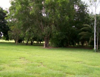 Daly River Mango Farm - Yarra Valley Accommodation 1