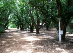 Daly River Mango Farm - Yarra Valley Accommodation 4