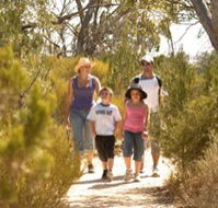Long Island Caravan Park Cabins - Yarra Valley Accommodation