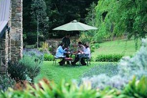 Adelaide Hills Country Cottages - Lavender Fields - Yarra Valley Accommodation 2