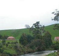 Tin Dragon Trail Cottages - Yarra Valley Accommodation