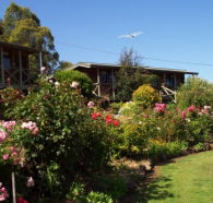 Mole Creek Holiday Village - Yarra Valley Accommodation