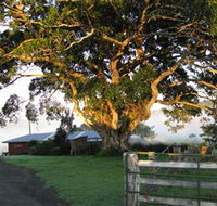 Arley Farm The Old Dairy - Yarra Valley Accommodation