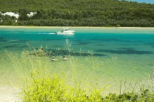 Wooli Camping and Caravan Park - Yarra Valley Accommodation