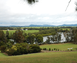 Bimbimbi Riverside Caravan Park - Yarra Valley Accommodation