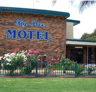 Fig Tree Motel - Yarra Valley Accommodation