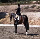 Apptrak Stud - Yarra Valley Accommodation