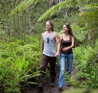 Blackheath Glen Tourist Park - Yarra Valley Accommodation
