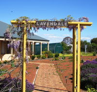 Lavendale Farmstay and Cottages - Yarra Valley Accommodation