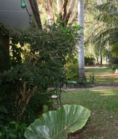 Douglas Daly Holiday Park - Yarra Valley Accommodation 1