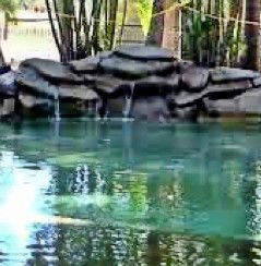 Douglas Daly Holiday Park - Yarra Valley Accommodation 2