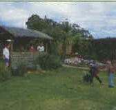 Tambo Lodge - Yarra Valley Accommodation