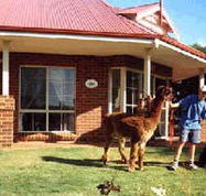 Brilea Cottages - Yarra Valley Accommodation