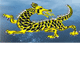 Dragon Phoenix Motel amp Restuarant - Yarra Valley Accommodation