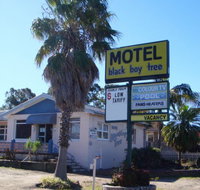 Blackboy Tree Motel - Yarra Valley Accommodation