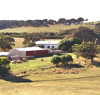 Sun Valley Eco Farm - Yarra Valley Accommodation