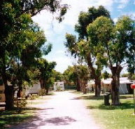 Bathers Paradise Caravan Park - Yarra Valley Accommodation