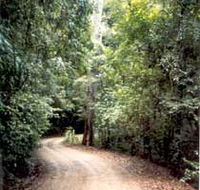 Mt Glorious Getaway Cottages And Conference Centre - Yarra Valley Accommodation