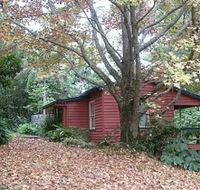 Turkeys Nest Rainforest Cottage - Yarra Valley Accommodation