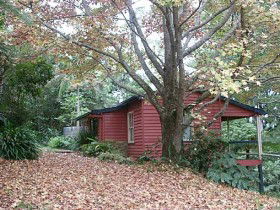 Turkeys Nest Rainforest Cottage - Yarra Valley Accommodation 0