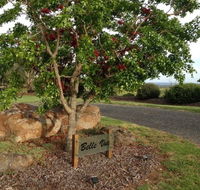 Belle Vue Studio - Yarra Valley Accommodation