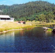 Millybrook Lodge - Yarra Valley Accommodation