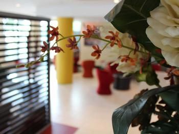 Ibis Newcastle - Yarra Valley Accommodation 24