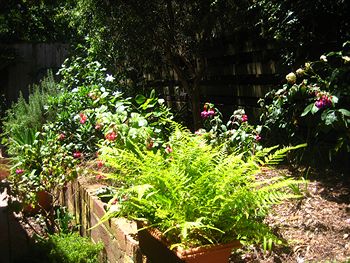 Bungunyah Apartments - Yarra Valley Accommodation 1