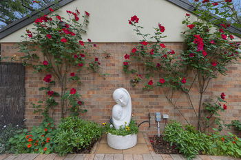 Bungunyah Apartments - Yarra Valley Accommodation 8