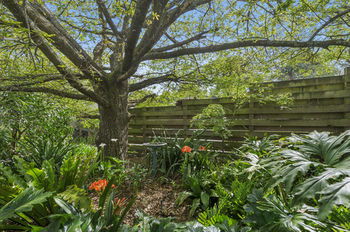 Bungunyah Apartments - Yarra Valley Accommodation 41