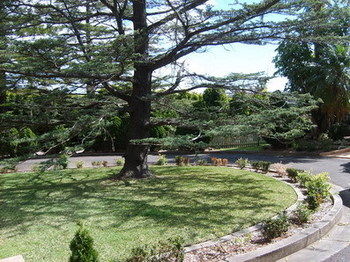 Tantarra Bed And Breakfast - Yarra Valley Accommodation 14