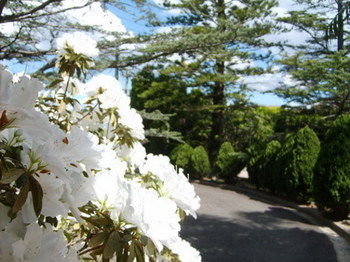 Tantarra Bed And Breakfast - Yarra Valley Accommodation 15
