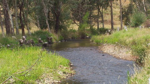 Murphy's Cabin - Yarra Valley Accommodation 0
