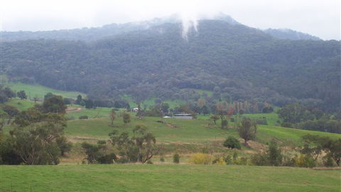 Murphy's Cabin - Yarra Valley Accommodation 1
