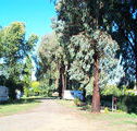 Cudal Caravan Park - Yarra Valley Accommodation