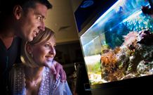 BIG4 Northstar Holiday Resort And Caravan Park - Yarra Valley Accommodation 4