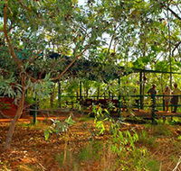 Arnhemland Barramundi Nature Lodge - Yarra Valley Accommodation
