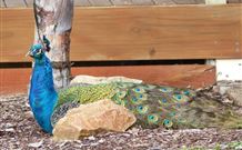 Lake Hume Tourist Park - Yarra Valley Accommodation 1