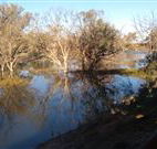 Warrawong on the Darling - Yarra Valley Accommodation