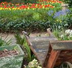 The Carrington Inn - Yarra Valley Accommodation
