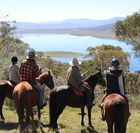 Reynella Homestead and Horseback Rides - Yarra Valley Accommodation