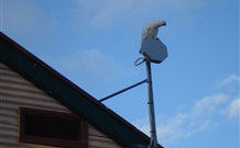 Lake View Farm House - Yarra Valley Accommodation 7