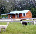 Moorallie Cottage Farm Stay - Yarra Valley Accommodation