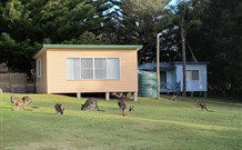 Lake Haven Castle Cottage - Yarra Valley Accommodation 1