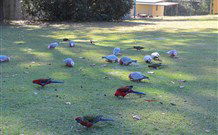 Lake Haven Castle Cottage - Yarra Valley Accommodation 2
