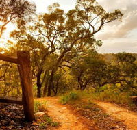 Kurrajong Trails and Cottages - Yarra Valley Accommodation
