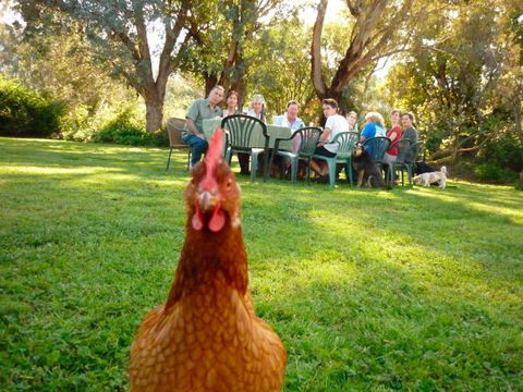 Baranduda Homestead B&B Cottages - Yarra Valley Accommodation 9